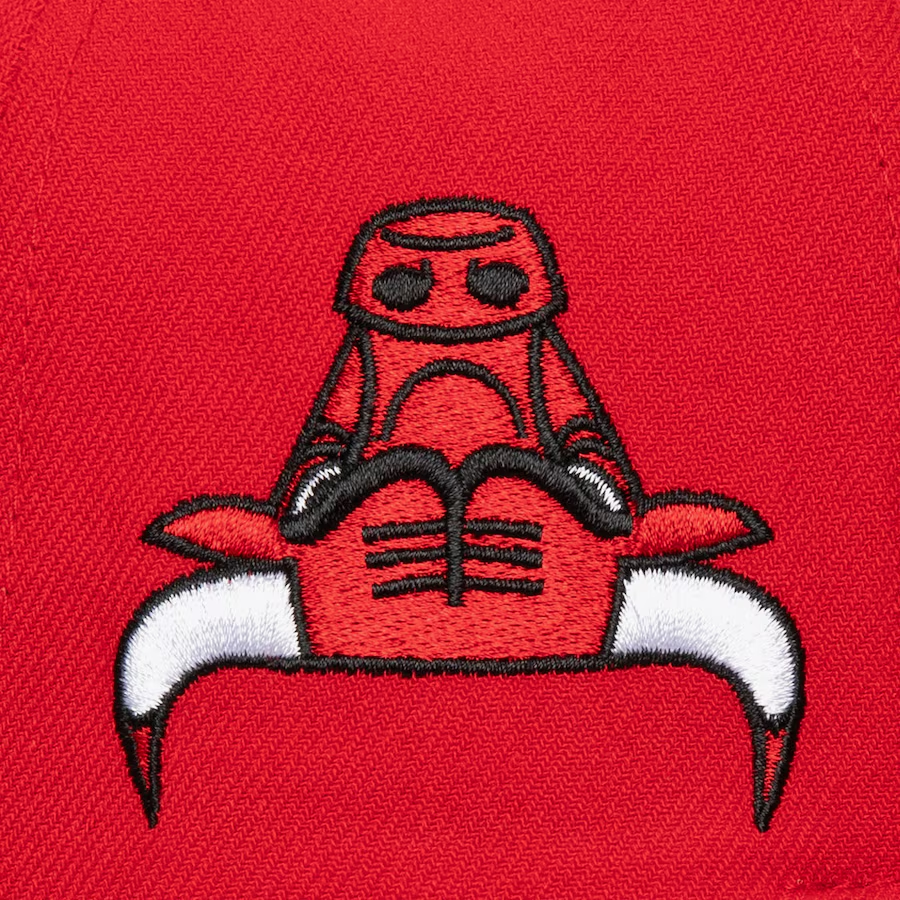 CHICAGO BULLS UPSIDE PRO SNAPBACK HAT