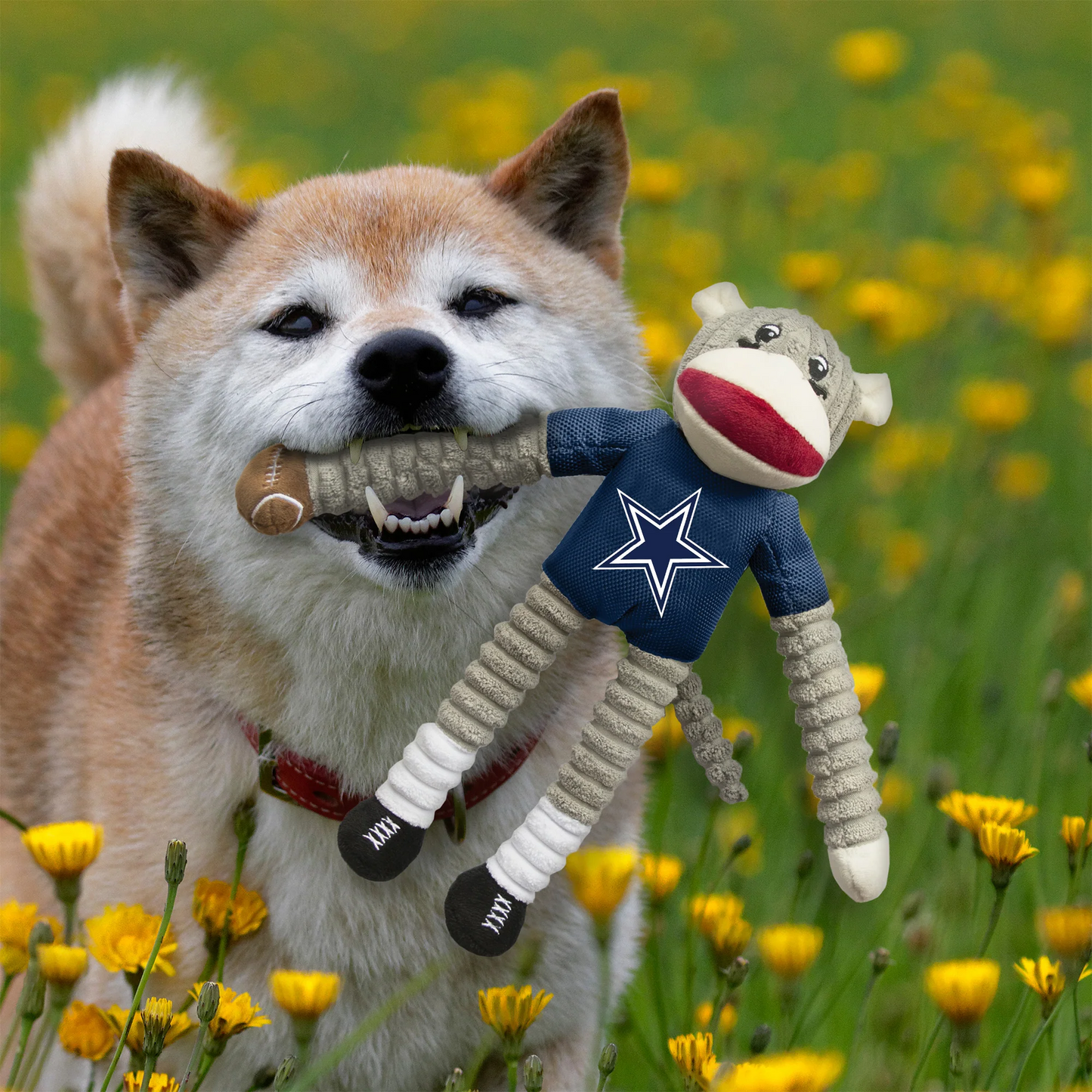DALLAS COWBOYS TEAM SOCK MONKEY PET TOY