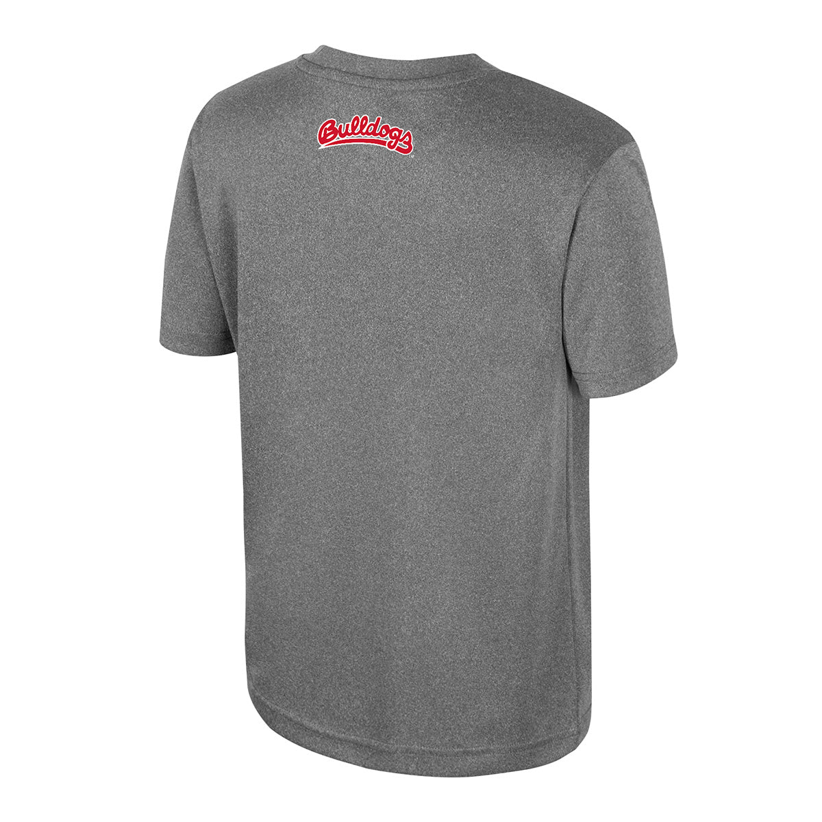 FRESNO STATE BULLDOGS YOUTH NIGHTOSPHERE T-SHIRT - GRAY
