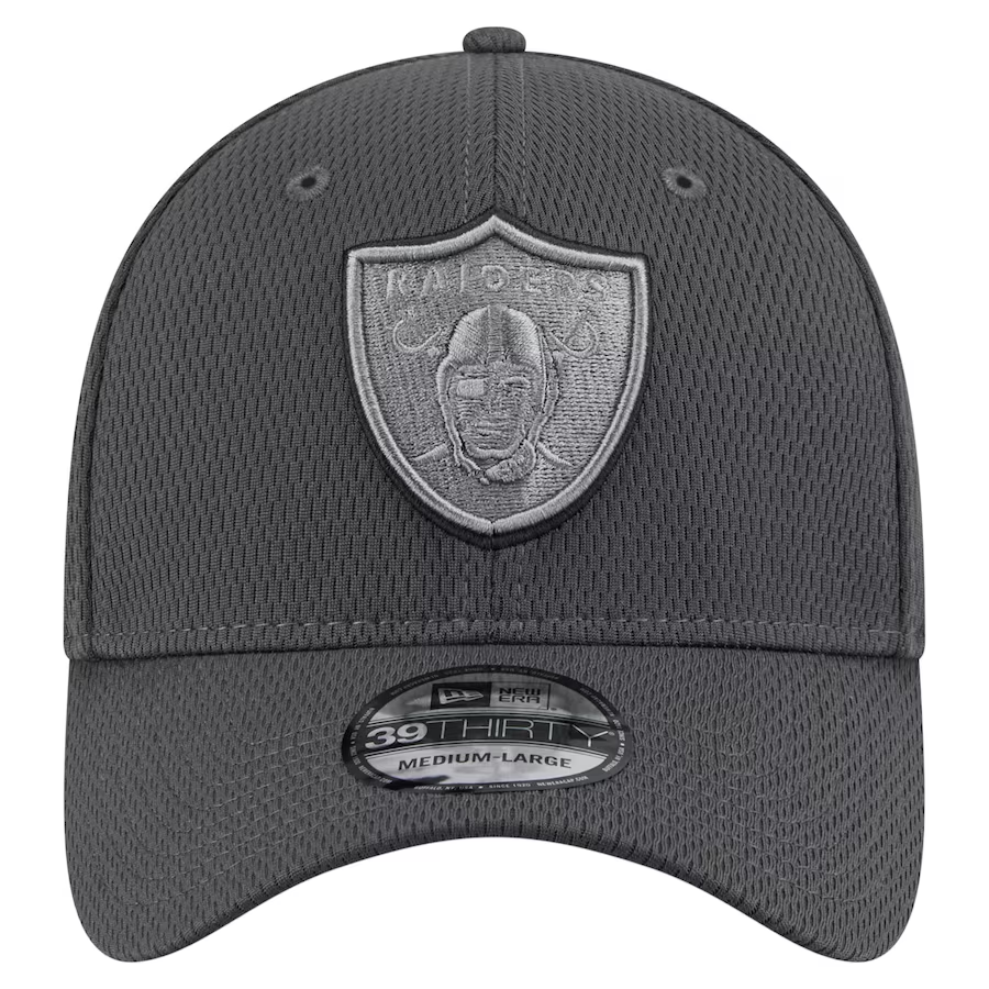 LAS VEGAS RAIDERS EVERGREEN DM 39THIRTY FLEX FIT HAT - GREY