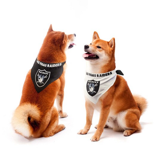 JUEGO DE BANDANA PARA MASCOTAS EN CASA Y LEJOS DE LAS VEGAS RAIDERS