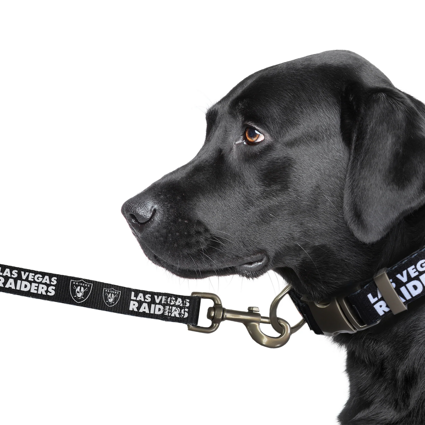 LAS VEGAS RAIDERS PREMIUM PET LEAD