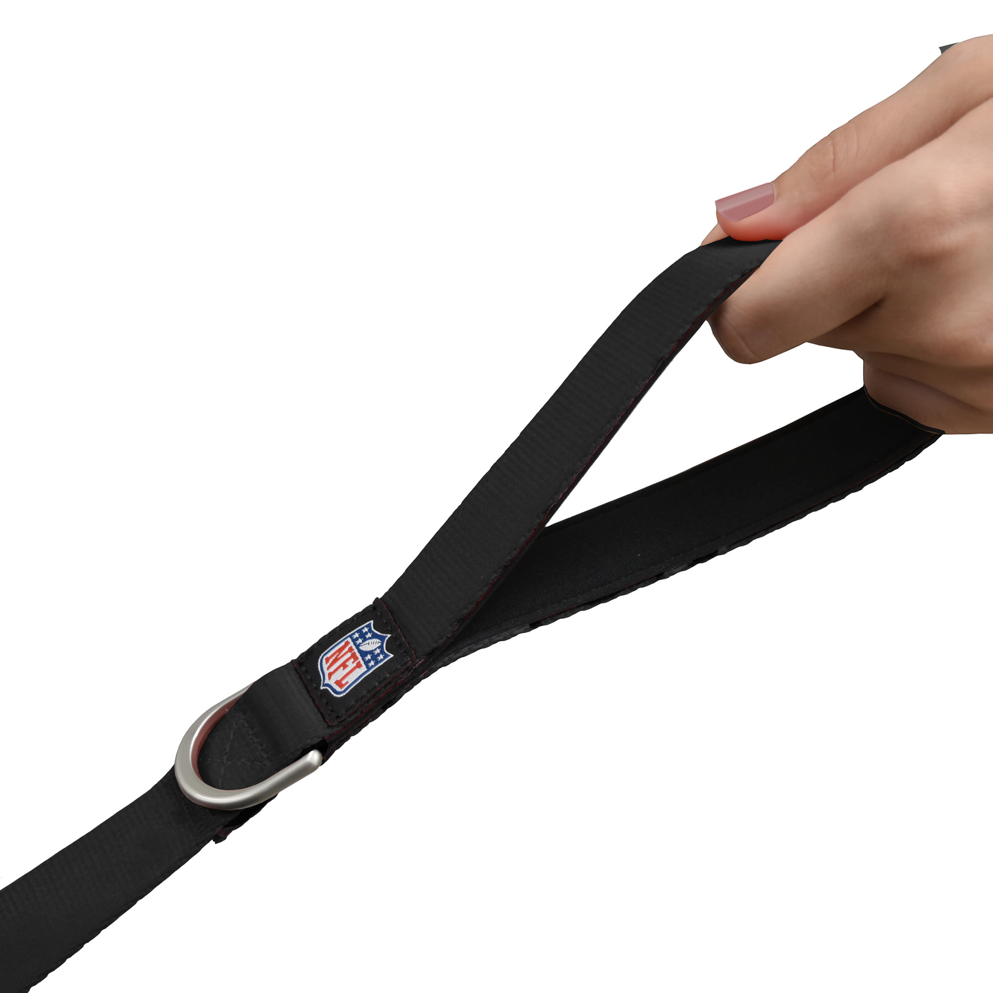 LAS VEGAS RAIDERS PREMIUM PET LEAD