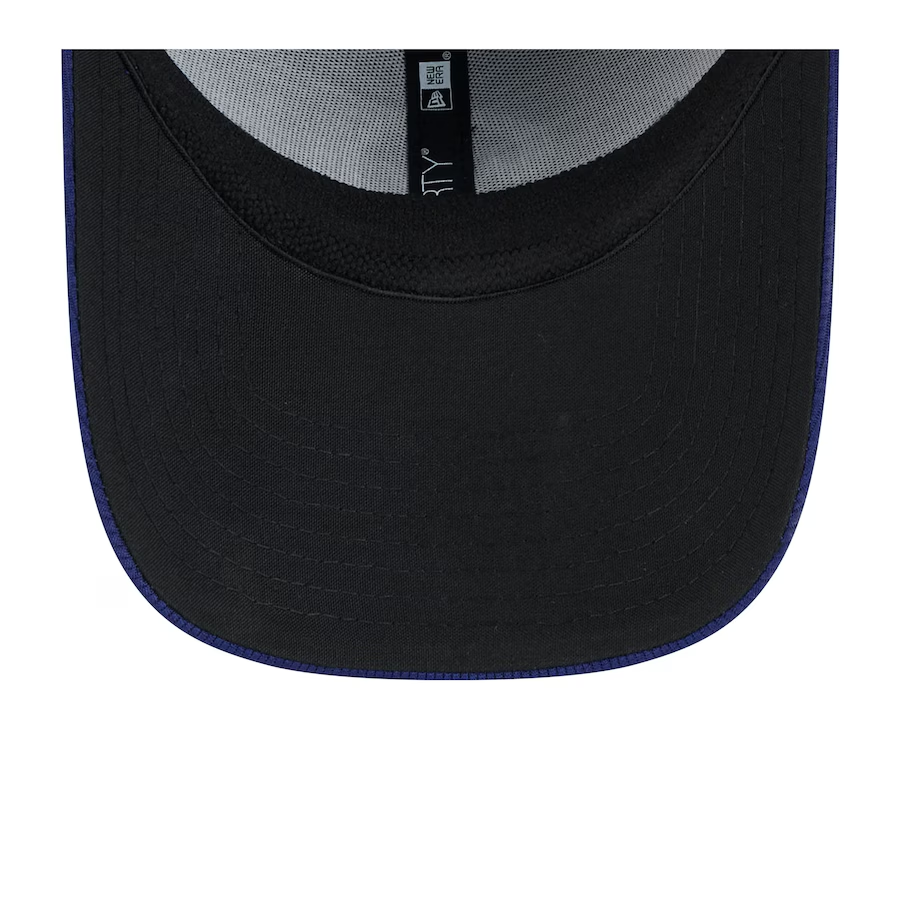 LOS ANGELES DODGERS 2025 MLB SPRING TRAINING 39THIRTY FLEX FIT HAT - BLUE