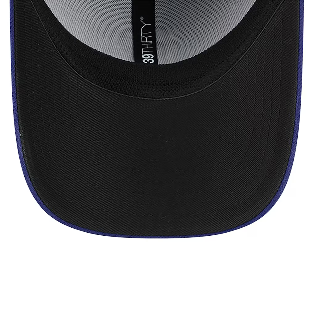 LOS ANGELES DODGERS 2025 MLB GOLD COLLECTION 39THIRTY FLEX FIT HAT - BLUE