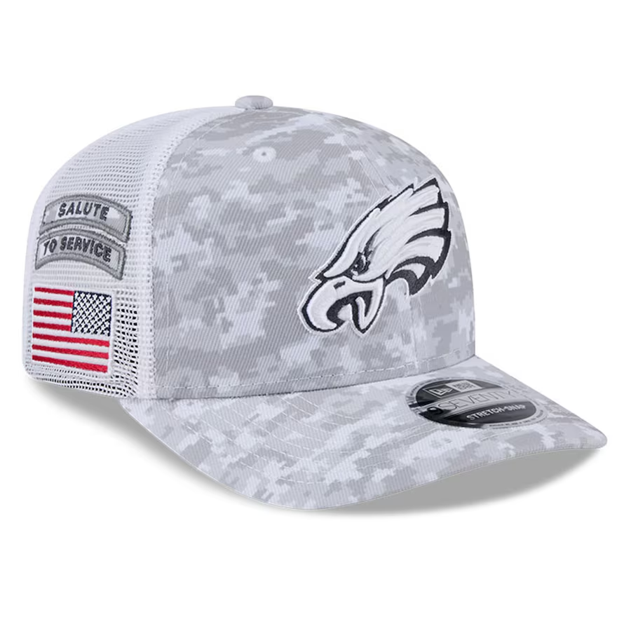 Dolphins salute to service hat on sale