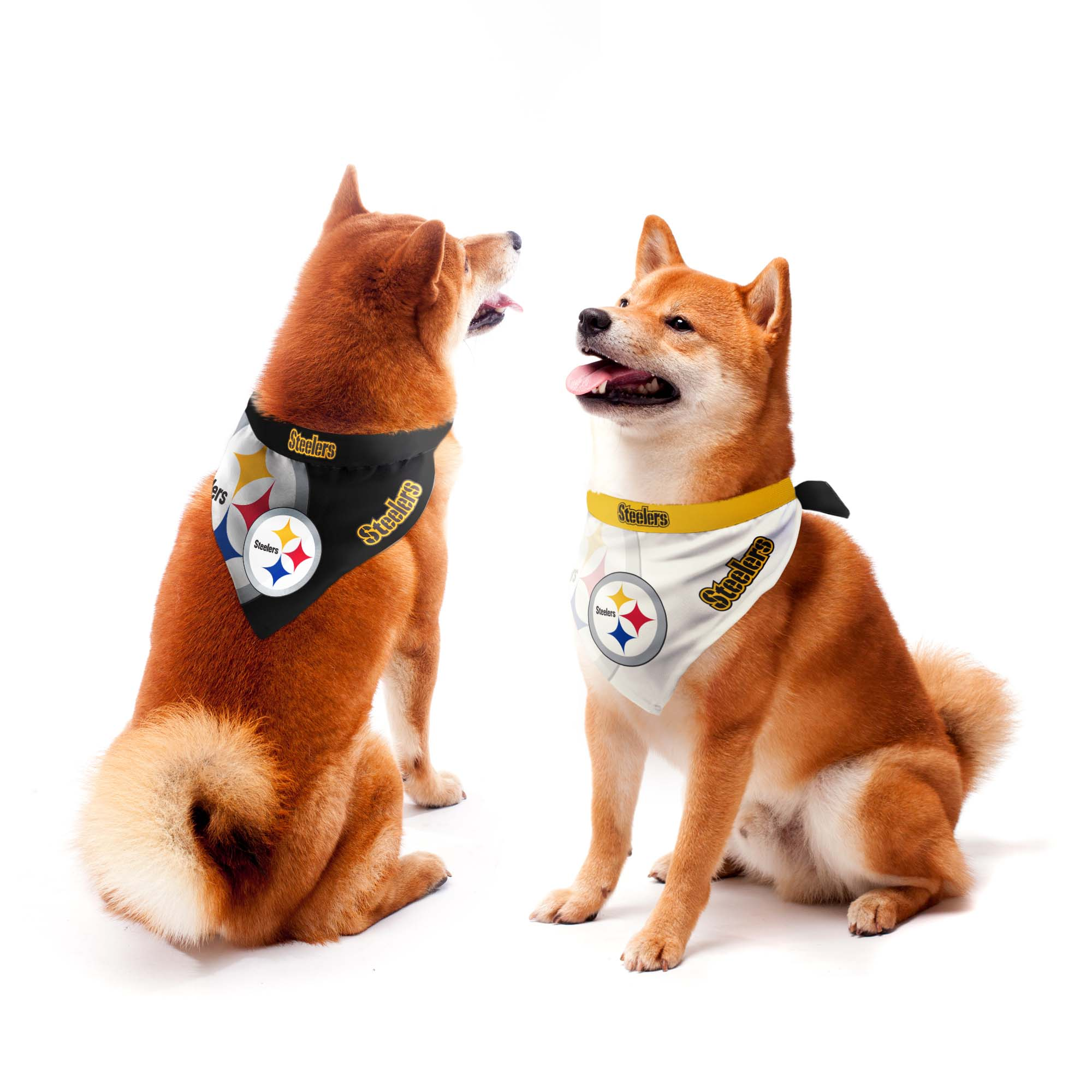 PITTSBURGH STEELERS HOME AWAY PET BANDANA SET JR S SPORTS