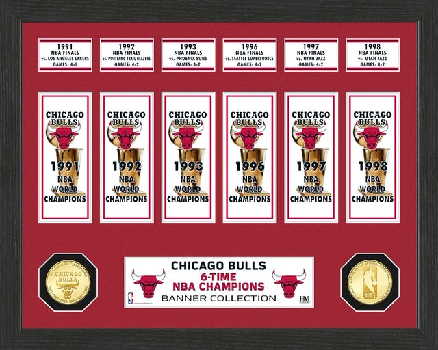 CHICAGO BULLS BANNER COLLECTION PHOTO