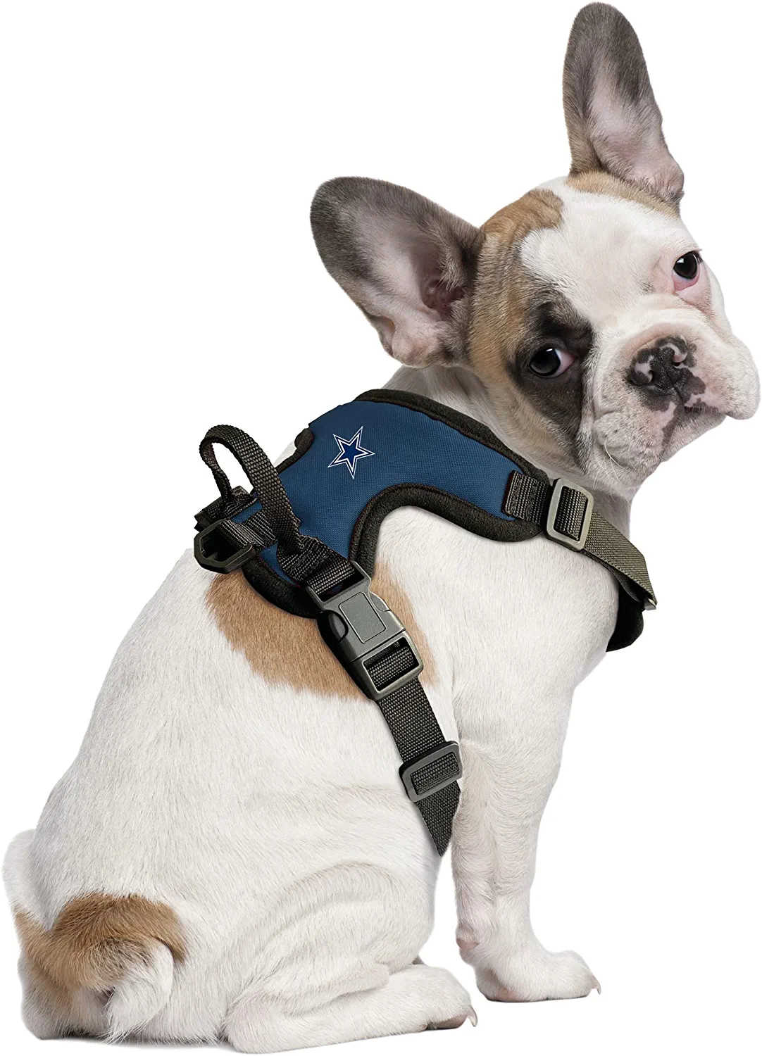 DALLAS COWBOYS PET HARNESS