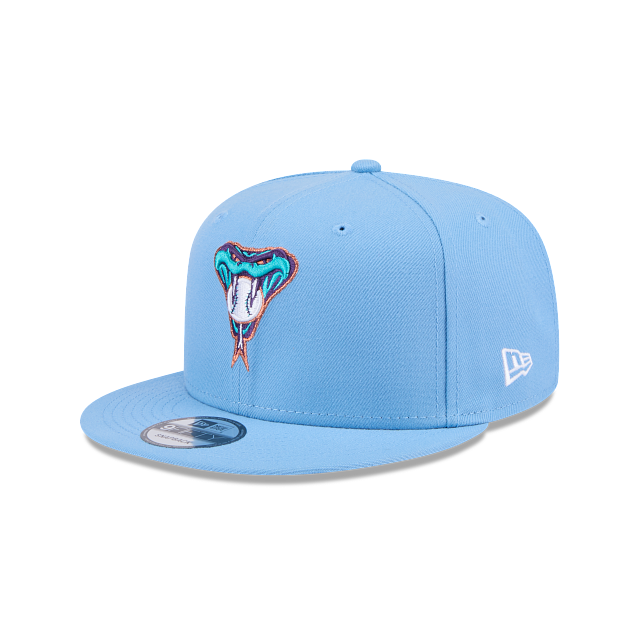 ARIZONA DIAMONDBACKS EVERGREEN BASIC 9FIFTY SNAPBACK HAT - SKY