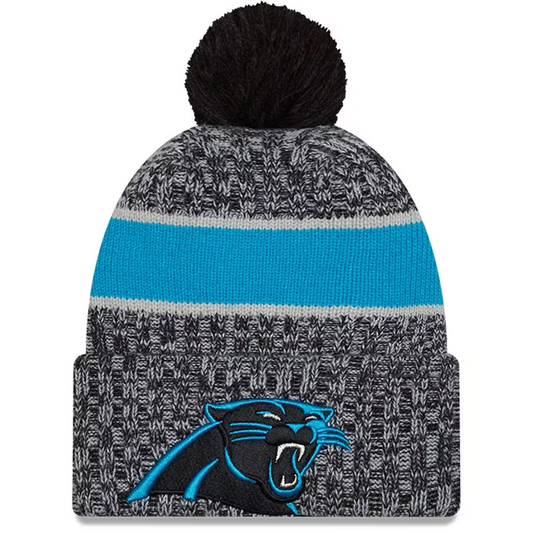 Carolina panthers skull cap hotsell