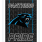 CAROLINA PANTHERS RECTANGLE NEOLITE LED WALL DECOR