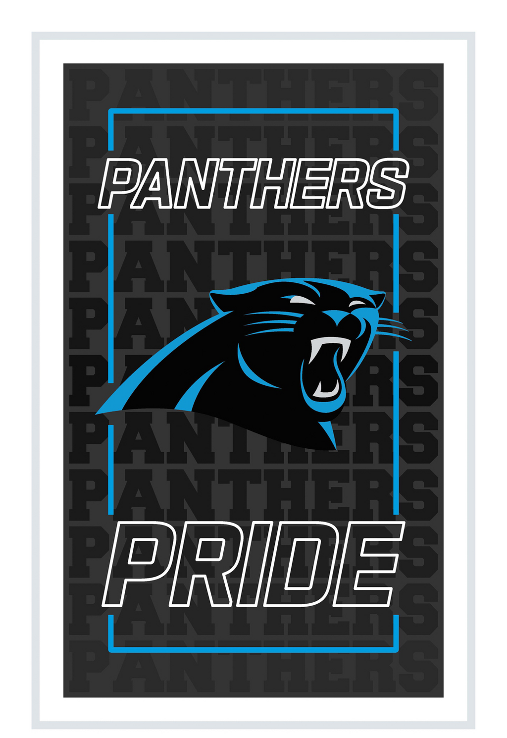 CAROLINA PANTHERS RECTANGLE NEOLITE LED WALL DECOR