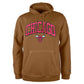 CHICAGO BULLS MEN'S COLOR PACK PULLOVER HOODED SWEATSHIRT - LIGHT BRONZE