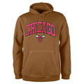 CHICAGO BULLS MEN'S COLOR PACK PULLOVER HOODED SWEATSHIRT - LIGHT BRONZE