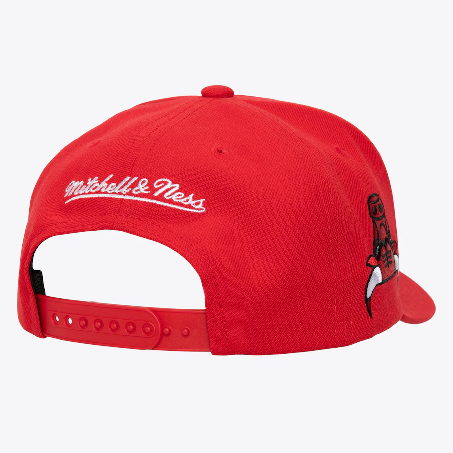 CHICAGO BULLS UPSIDE PRO SNAPBACK HAT