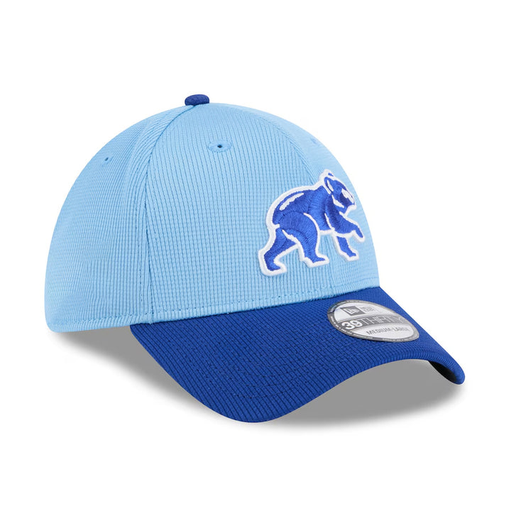 2026 MLB Spring Training Collection by New Era – JR'S SPORTS