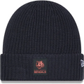 CINCINNATI BENGALS 2025 SIDELINE COLD WEATHER CUFFED KNIT - CHARCOAL