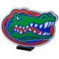 FLORIDA GATORS LED INFINITY LOGO LIGHT