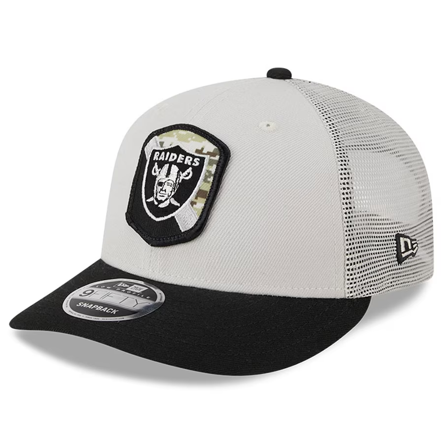 Las Vegas Raiders New Era 2023 Salute To Service Low Profile