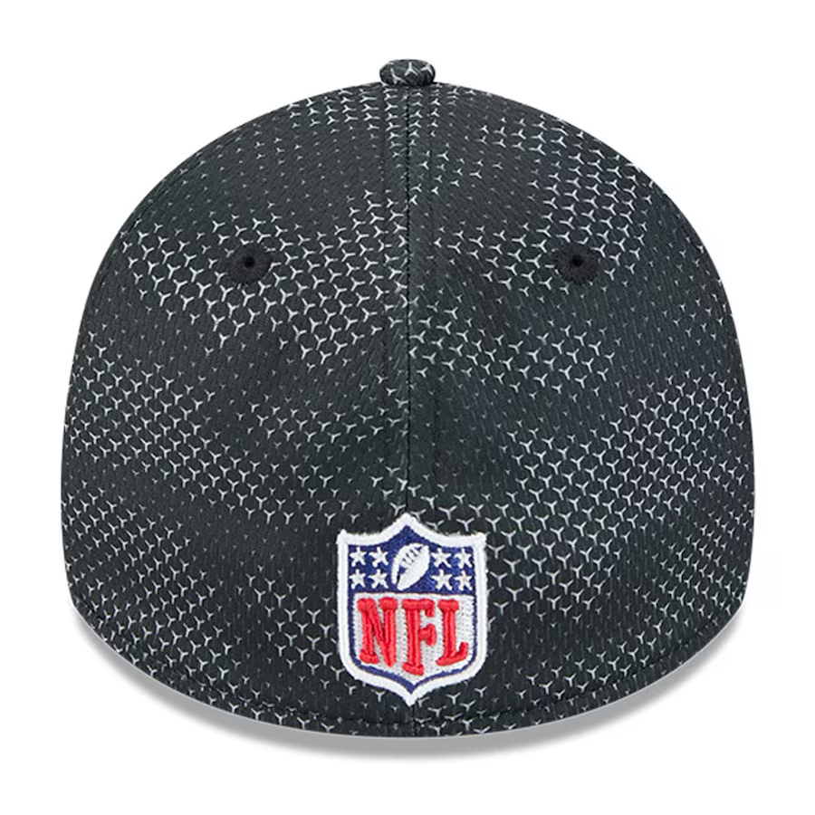 LAS VEGAS RAIDERS 2024 NFL SIDELINE 39THIRTY FLEX FIT HAT - BLACK