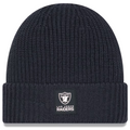LAS VEGAS RAIDERS 2025 SIDELINE COLD WEATHER CUFFED KNIT - CHARCOAL