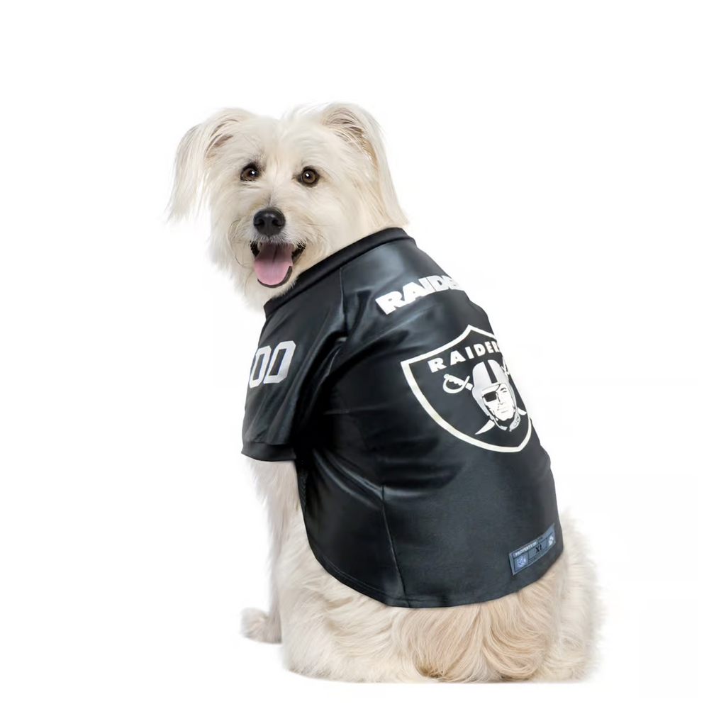 LAS VEGAS RAIDERS PREMIUM PET JERSEY