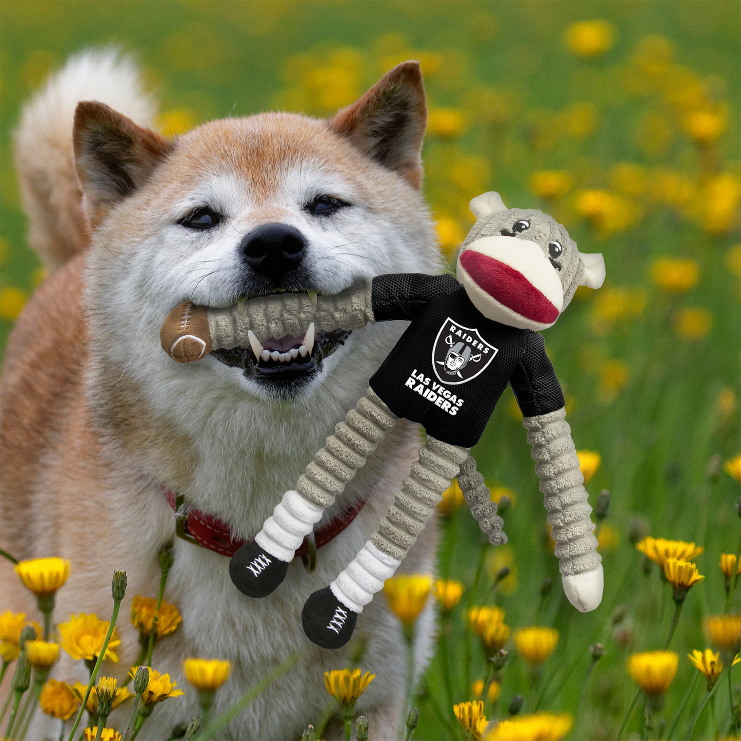 LAS VEGAS RAIDERS TEAM SOCK MONKEY PET TOY
