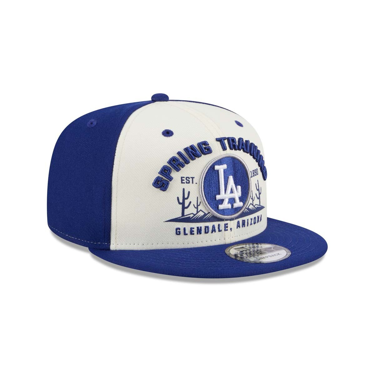 LOS ANGELES DODGERS 2024 SPRING TRAINING 9FIFTY SNAPBACK HAT