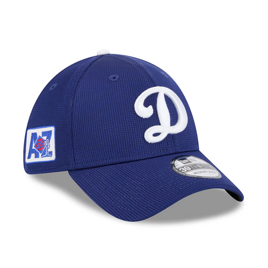 LOS ANGELES DODGERS  2025 MLB SPRING TRAINING 39THIRTY FLEX FIT HAT - BLUE