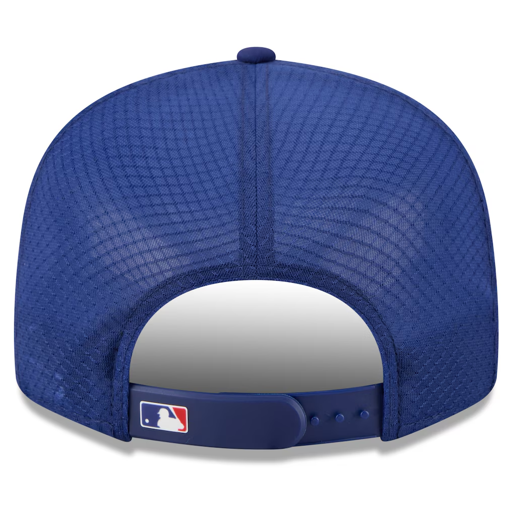 LOS ANGELES DODGERS 2026 MLB ALL-STAR GAME WORKOUT 9FIFTY SNAPBACK HAT - BLUE