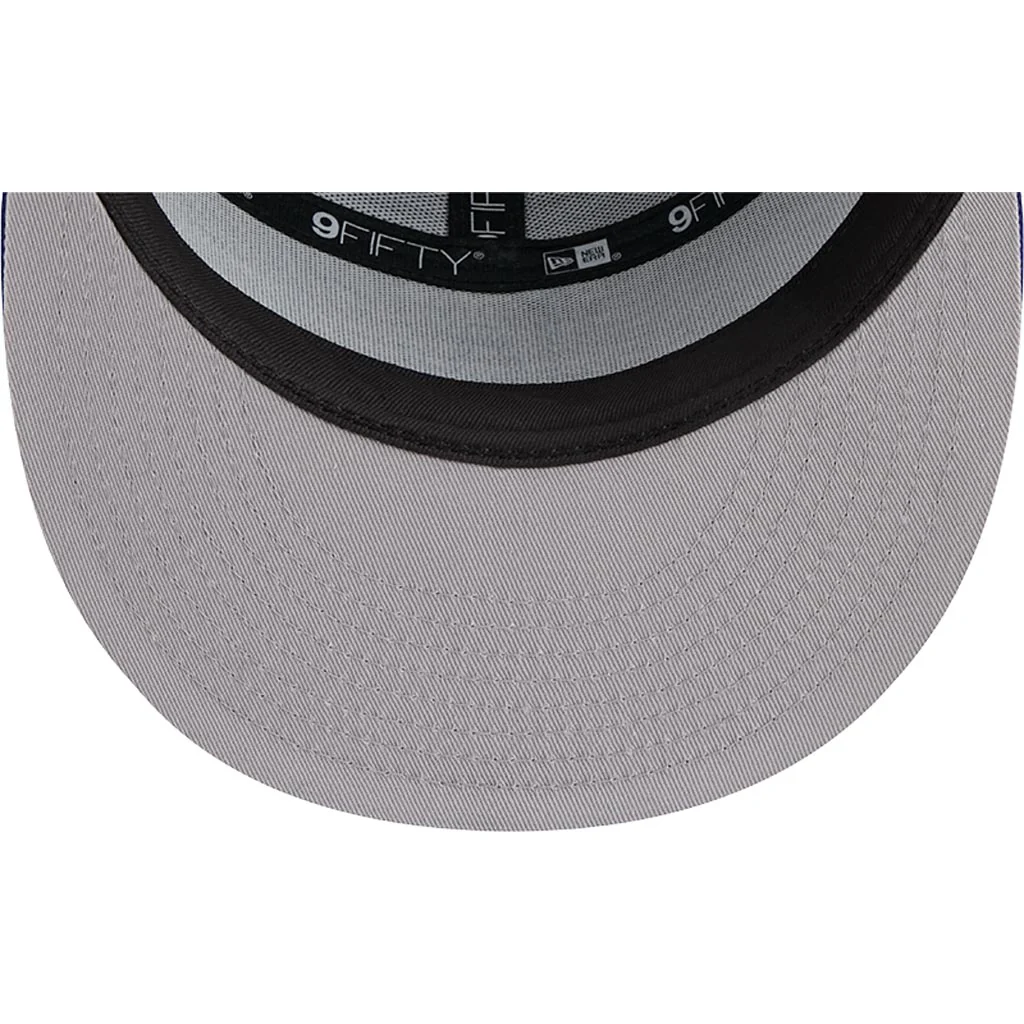 LOS ANGELES DODGERS OUTDOOR SPLIT PANEL TRUCKER 9FIFTY SNAPBACK HAT