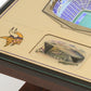 MINNESOTA VIKINGS 25 LAYER 3D STADIUM LIGHTED END TABLE