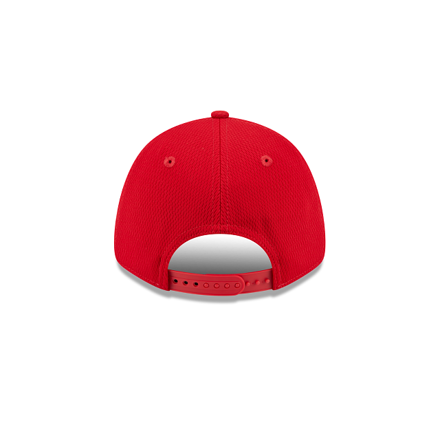 OHIO STATE BUCKEYES EVERGREEN BASIC LOGO 9FORTY STRETCH-SNAP ADJUSTABLE HAT