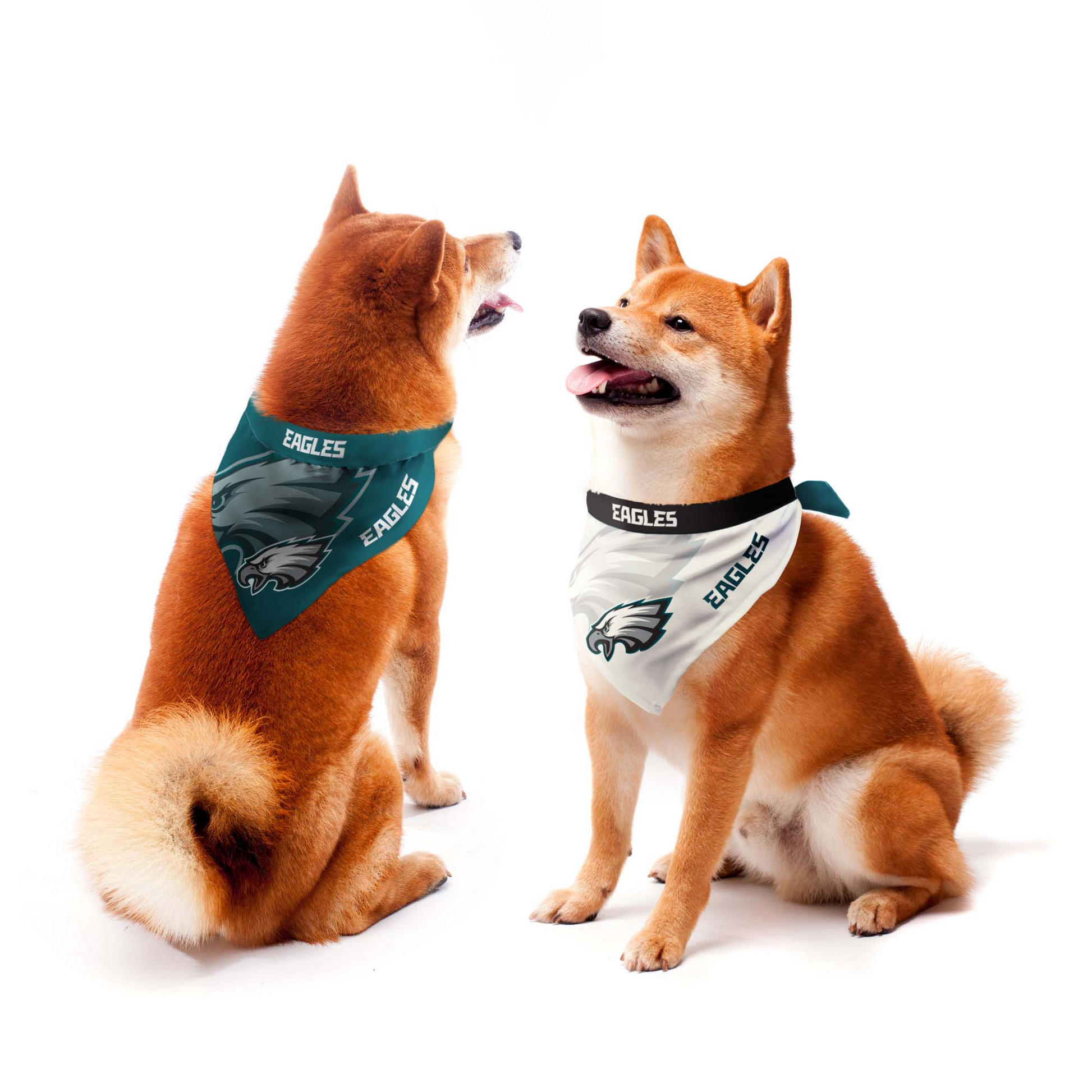 Philadelphia eagles dog bandana hotsell