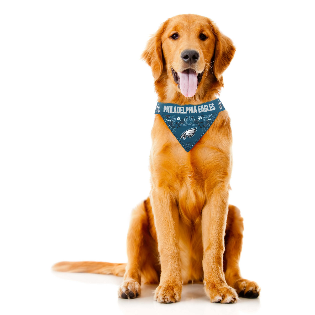 BANDANA PARA MASCOTAS ÁGUILAS DE FILADELFIA