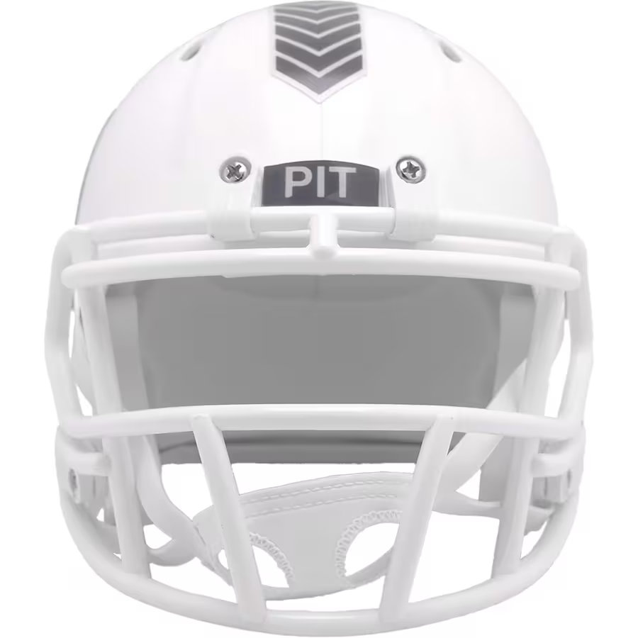 PITTSBURGH STEELERS 2024 NFL SALUTE TO SERVICE RIDDELL MINI HELMET