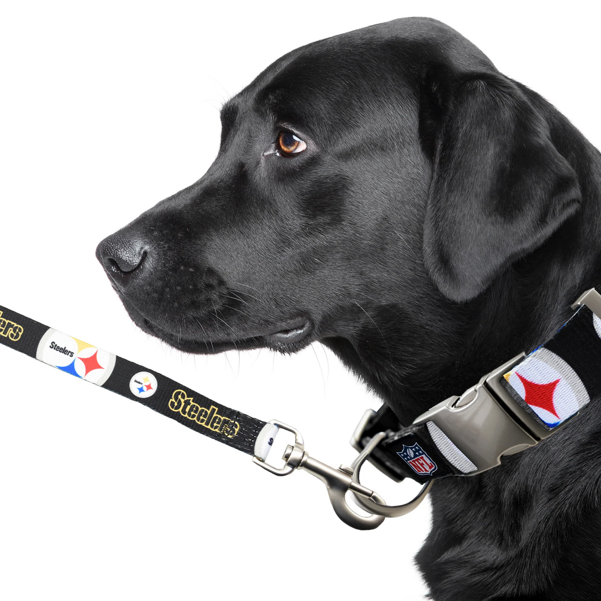 PLOMO PARA PET PREMIUM DE LOS ACERO DE PITTSBURGH