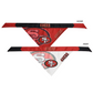 SAN FRANCISCO 49ERS HOME & AWAY PET BANDANA SET