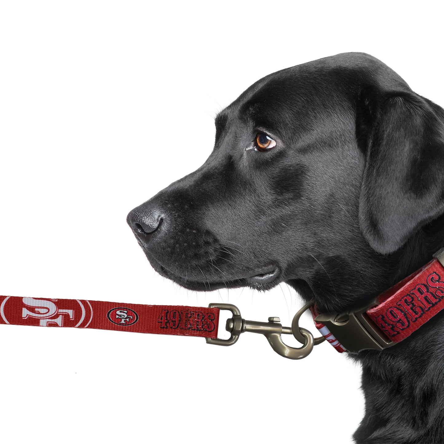 SAN FRANCISCO 49ERS PREMIUM PET LEAD