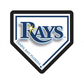 TAMPA BAY RAYS HOMEPLATE EDGELITE LED WALL DECOR