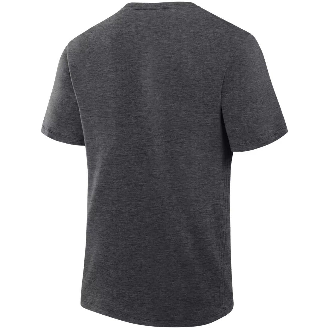 TAMPA BAY RAYS MEN'S FANATICS 2026 ALCS CHAMPIONS LOCKER ROOM T-SHIRT - CHARCOAL