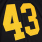 TROY POLAMALU YOUTH MITCHELL & NESS LEGACY JERSEY