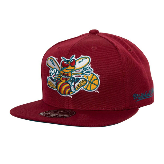 CHARLOTTE HORNETS HWC NORTHERN LIGHTS FITTED HAT
