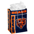 BOLSA DE REGALO OSOS DE CHICAGO