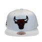 CHICAGO BULLS 1993 FINALS PATCH SNAPBACK