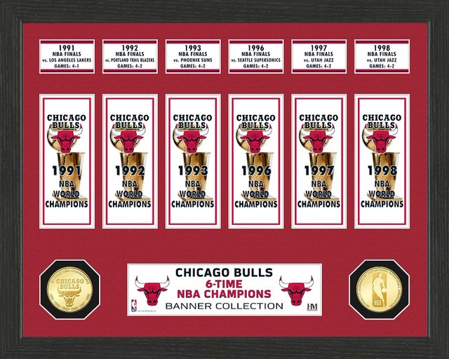 CHICAGO BULLS BANNER COLLECTION PHOTO