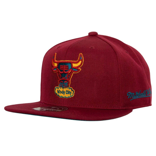 CHICAGO BULLS HWC NORTHERN LIGHTS FITTED HAT