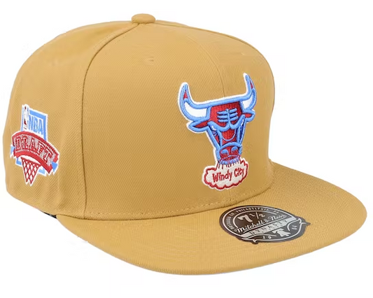 CHICAGO BULLS HWC SAND & SKY FITTED HAT
