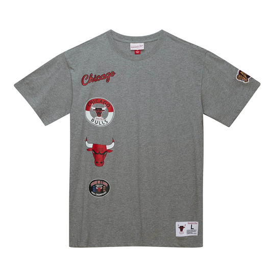 CHICAGO BULLS MEN'S CITY COLLECTION T-SHIRT